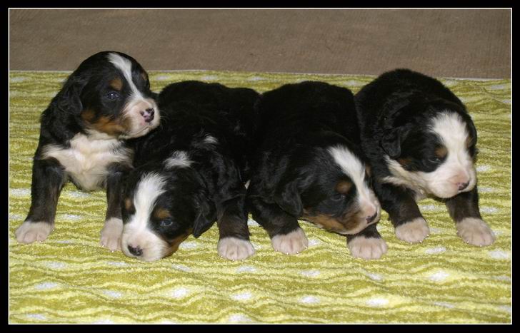 008 Kluci 27.3.2009.JPG