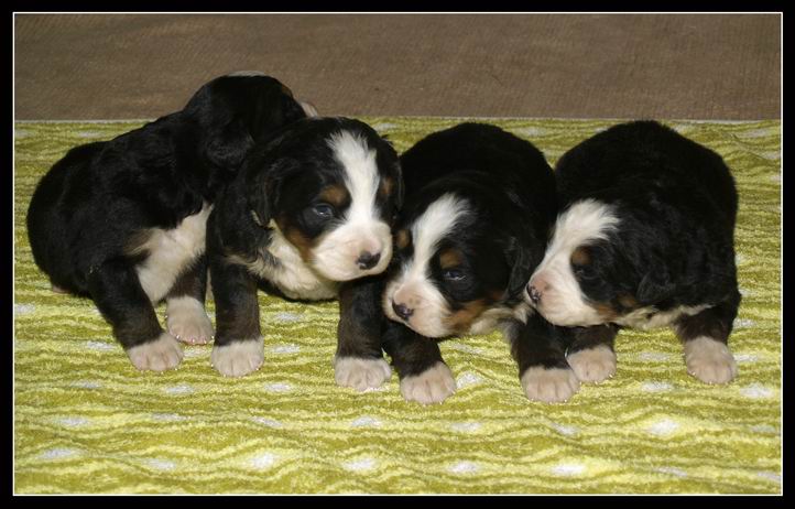 009 Kluci 27.3.2009.JPG